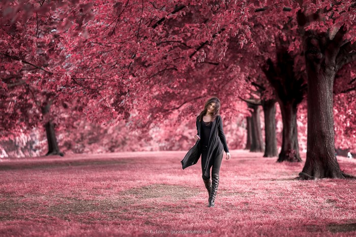 Woman walking in a park with pink trees