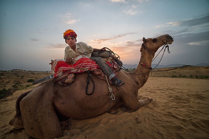 Boy riding a camel in the desert at sunset