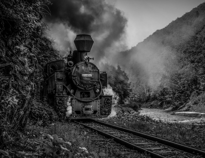 Steam train traveling through a mountainous forest