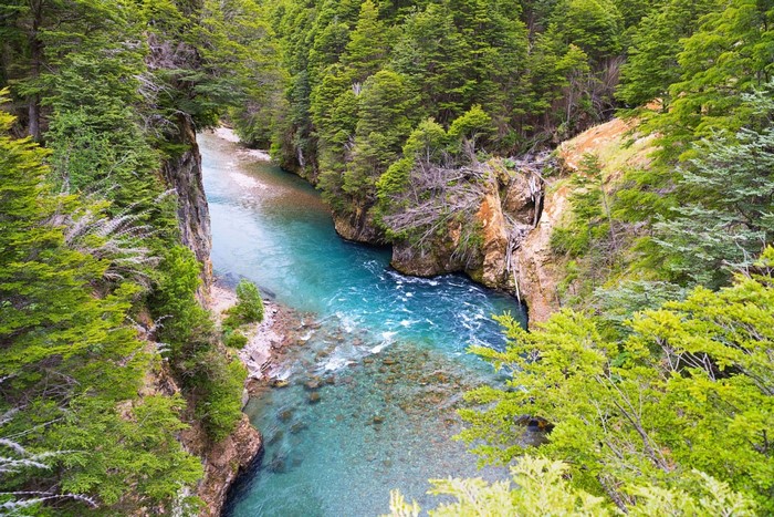 trees, landscape, forest, waterfall, water, nature, river, turquoise ...