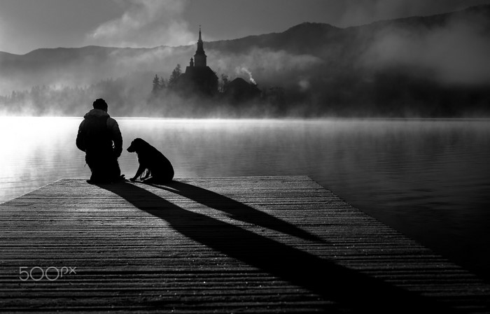 Man and dog on a pier with a misty lake and church