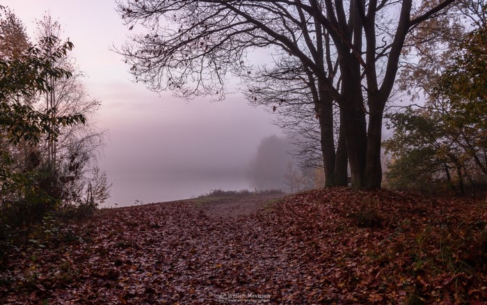 Misty autumn morning by the lake with fallen leaves