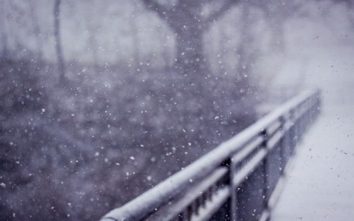 Snow falling on a bridge railing in winter