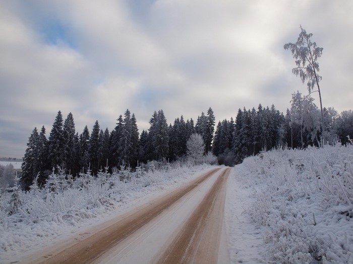 Snowy dirt road through a frosted forest in winter