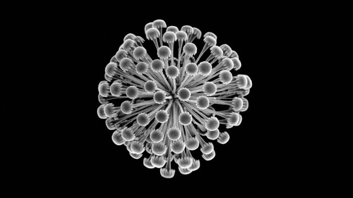 Monochrome abstract spherical object with radiating elements