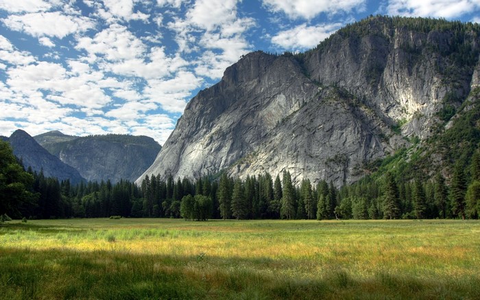 Meadow and mountains in Yosemite National Park