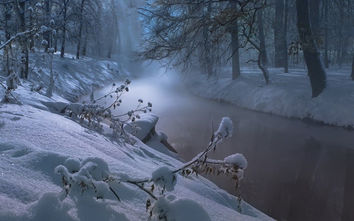 Winter forest with a steaming river and snow-covered branches