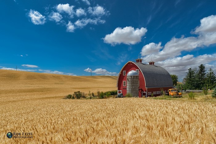 Red barn and silo in a wheat field under a blue sky