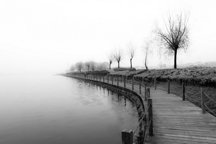 Wooden boardwalk along a misty lake with bare trees