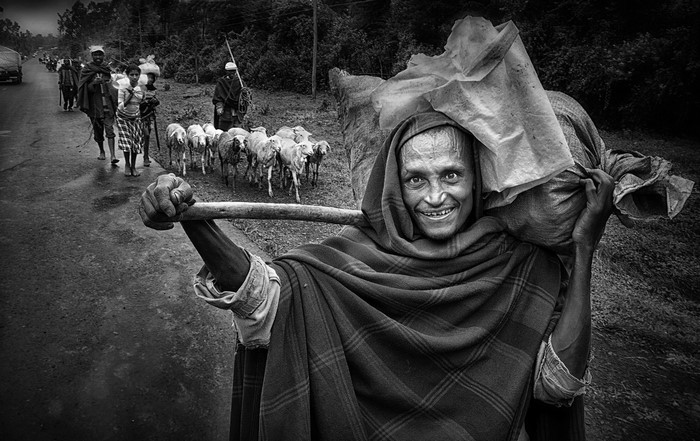 Man carrying a sack on his shoulder with sheep