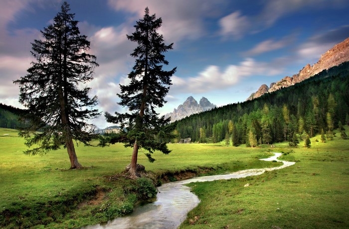 Mountain valley with pine trees and a stream