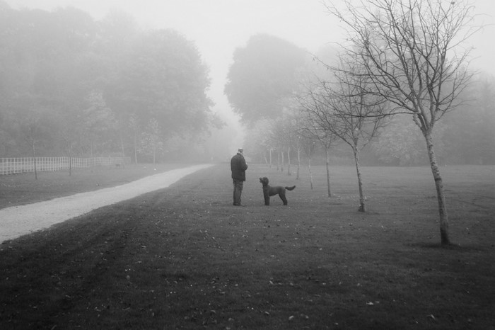 Man and dog in a foggy park