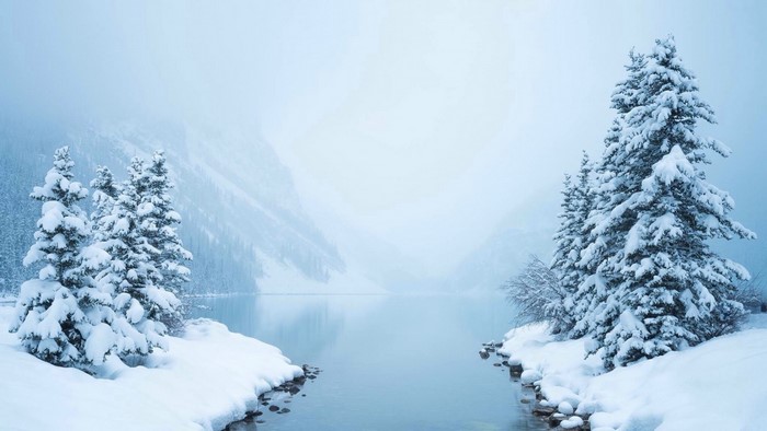 Snow-covered fir trees by a tranquil lake in winter