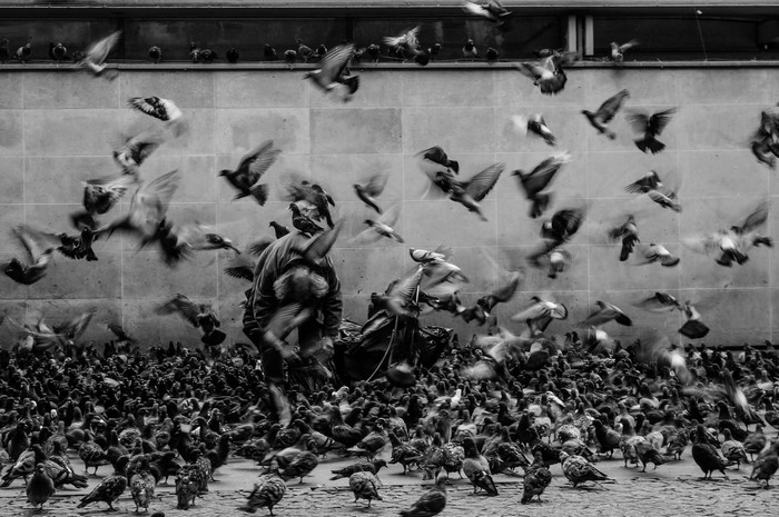 Man surrounded by a large flock of pigeons