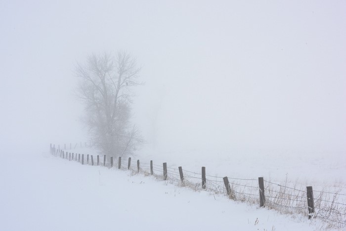 Barbed wire fence in a foggy winter landscape