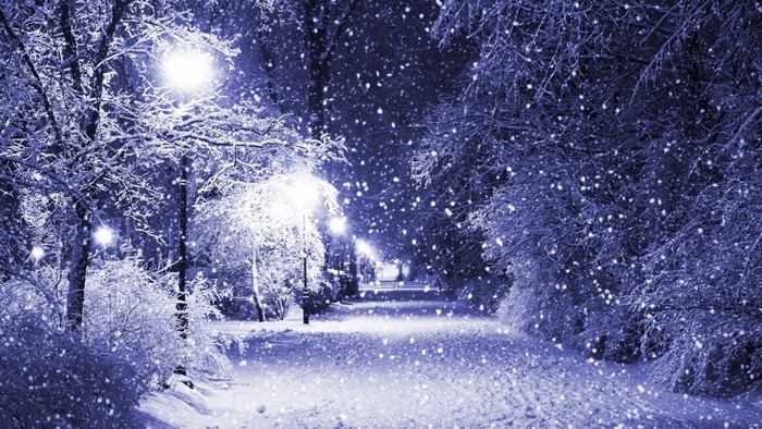 Snowy park path with streetlights at night
