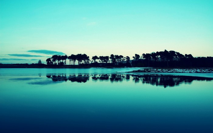 Silhouette of trees reflected in a calm lake at dusk