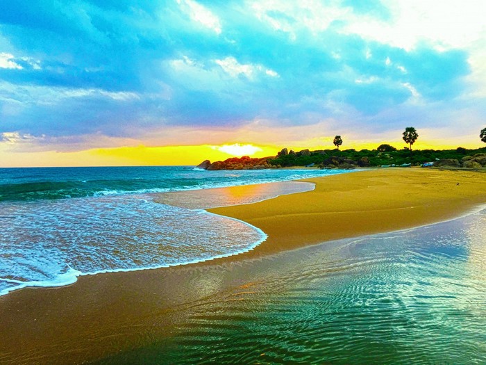 Beach at dusk with waves and palm trees