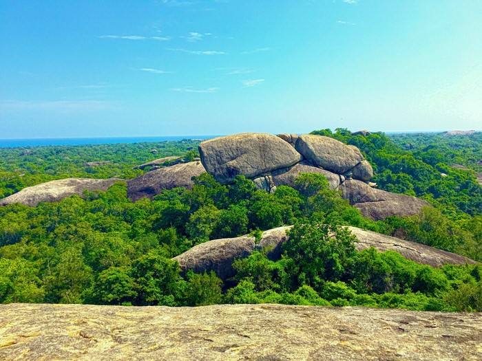 Rocky outcrop overlooking a lush green forest and the sea