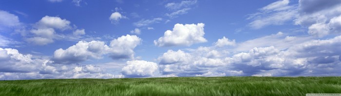 Green field under a blue sky with cumulus clouds