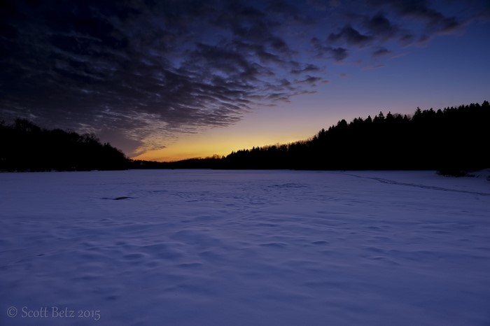 Snowy landscape at dusk with silhouetted trees