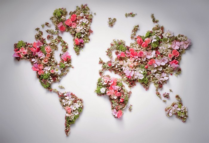 World map made of pink and white flowers