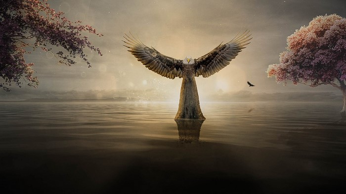 Eagle figure with wings spread over water at sunset