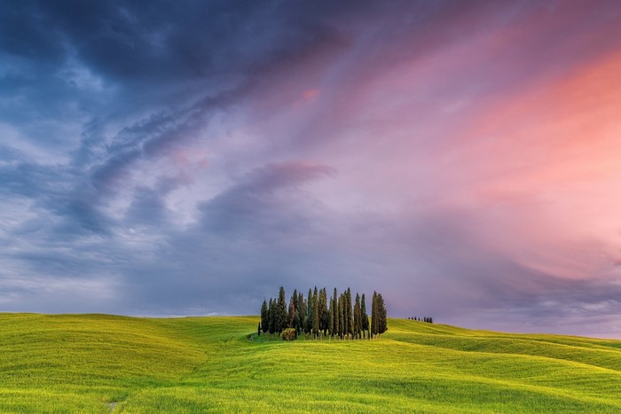 Tuscany landscape with cypress trees at sunset