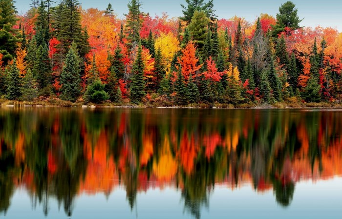 Autumn forest reflected in a calm lake