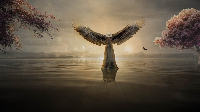 Eagle tree reflection on water at sunset