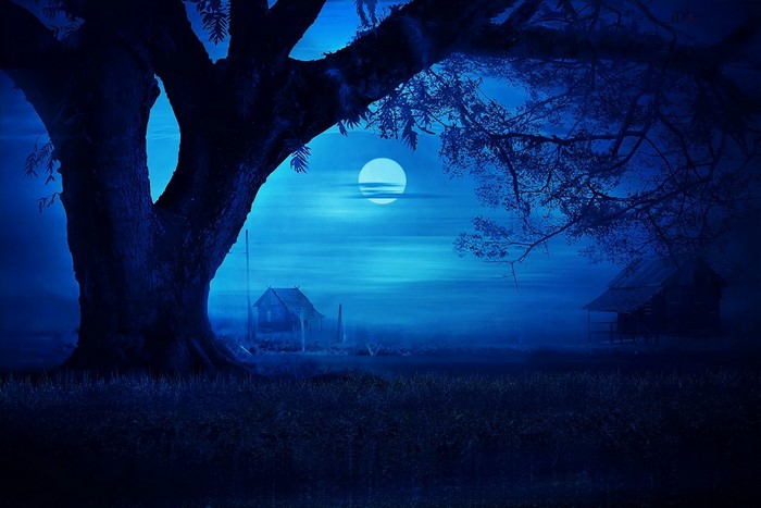 Moonlit night with trees and huts