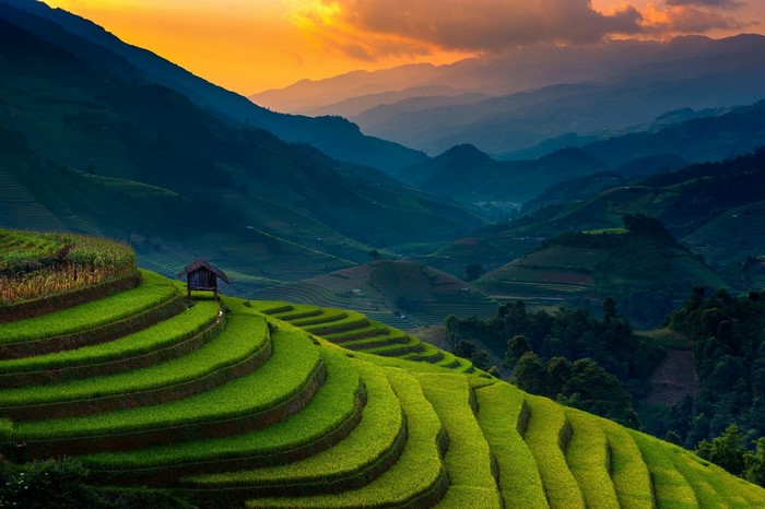 Sunset Over Terraced Rice Fields in Vietnam