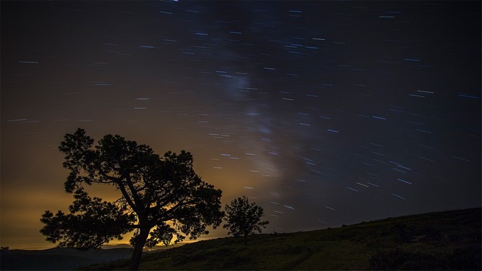 Star trails over a silhouetted tree on a hill