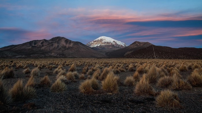 Snow-capped mountain at sunset over a grassy plain