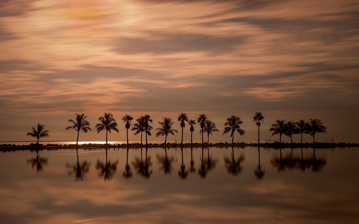 Palm trees silhouetted against a sunset sky reflected in water