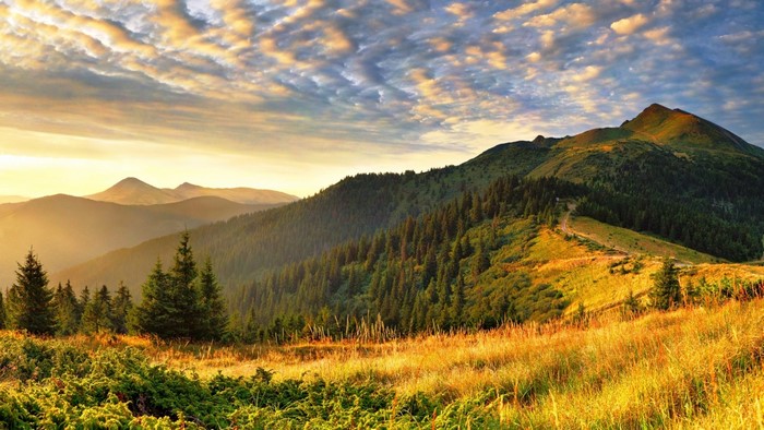 Mountain landscape at sunset with pine trees and clouds