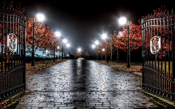 Ornate gates and illuminated trees at night
