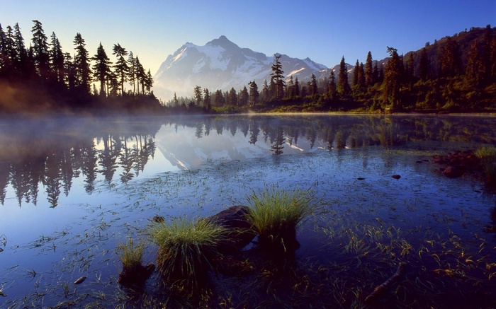 Misty lake with mountains and pine trees