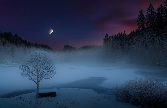 Winter night landscape with moon over frozen lake and forest