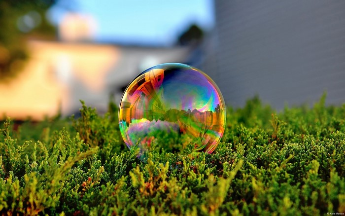A bubble reflecting colors on green bushes