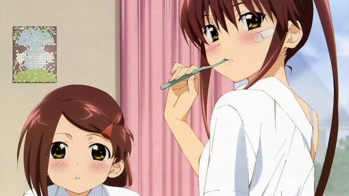 Suminoe Riko and Suminoe Ako from Kiss x Sis