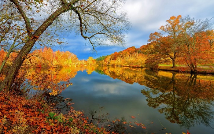 Autumn lake reflection with colorful trees and fallen leaves
