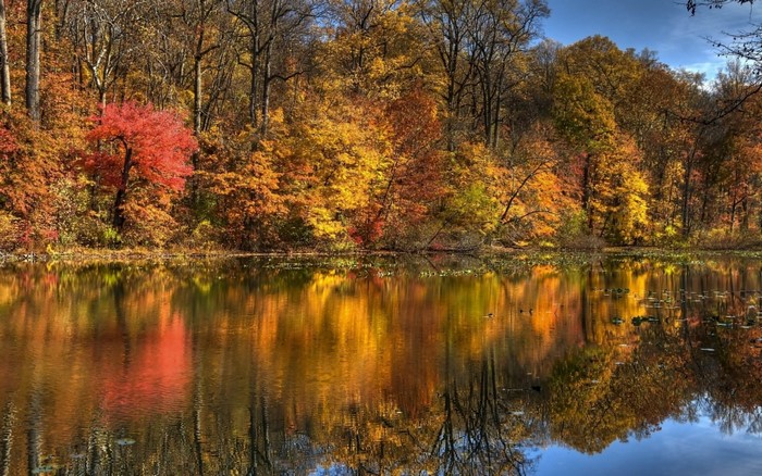 Autumn forest reflected in a calm lake