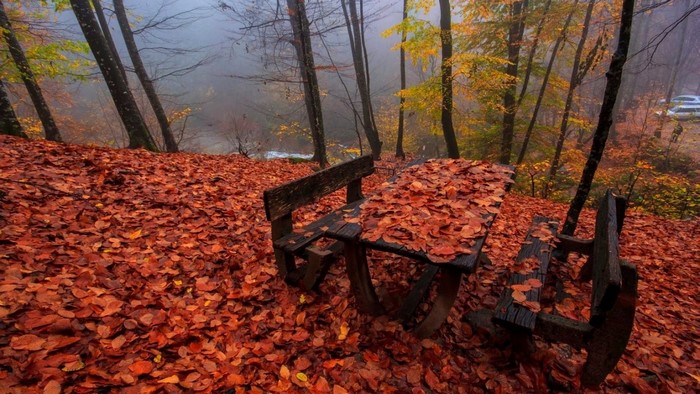 Wooden picnic table and benches covered in autumn leaves in a forest