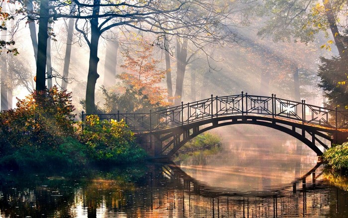 Bridge over a misty river in autumn