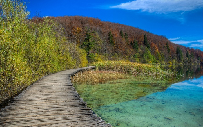 Wooden boardwalk along a clear lake in autumn forest