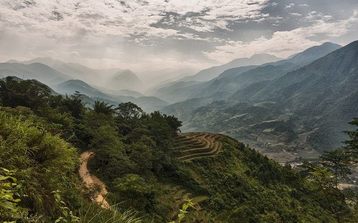 Terraced rice fields on a misty mountain landscape