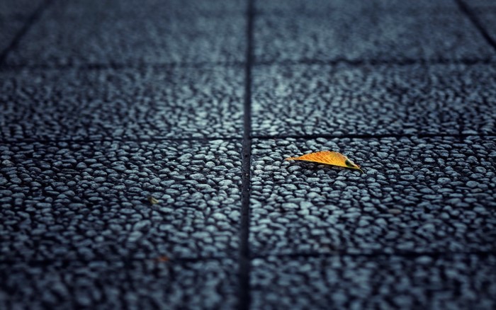 Single yellow leaf on textured pavement