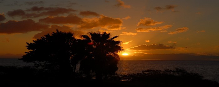 Sunset over the ocean with silhouetted palm trees