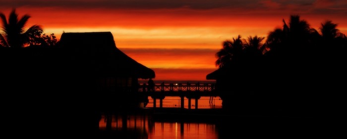 Silhouette of huts and palm trees at sunset